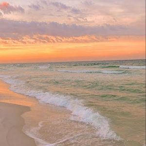 Meet your Posher, Kadyn